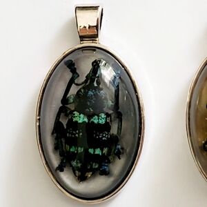Real Weevil Pendant With Chain